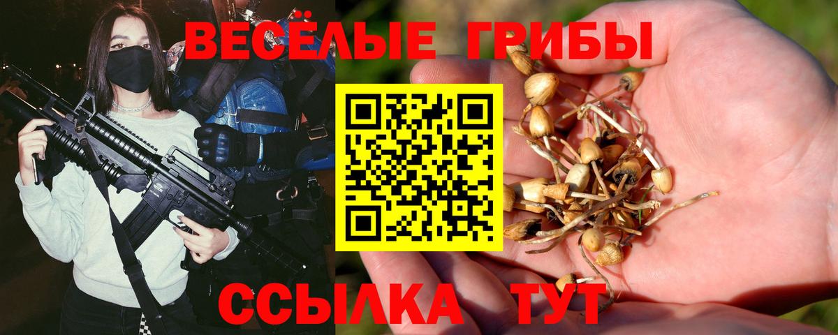 Псилоцибиновые грибы мицелий  Вход с VPN  Галлюциногенные грибы прущие грибы  Михайловск 